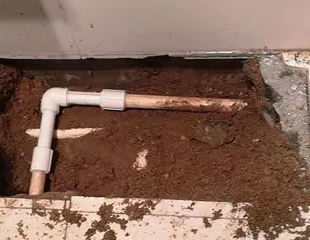 湛江市测漏水哪家好